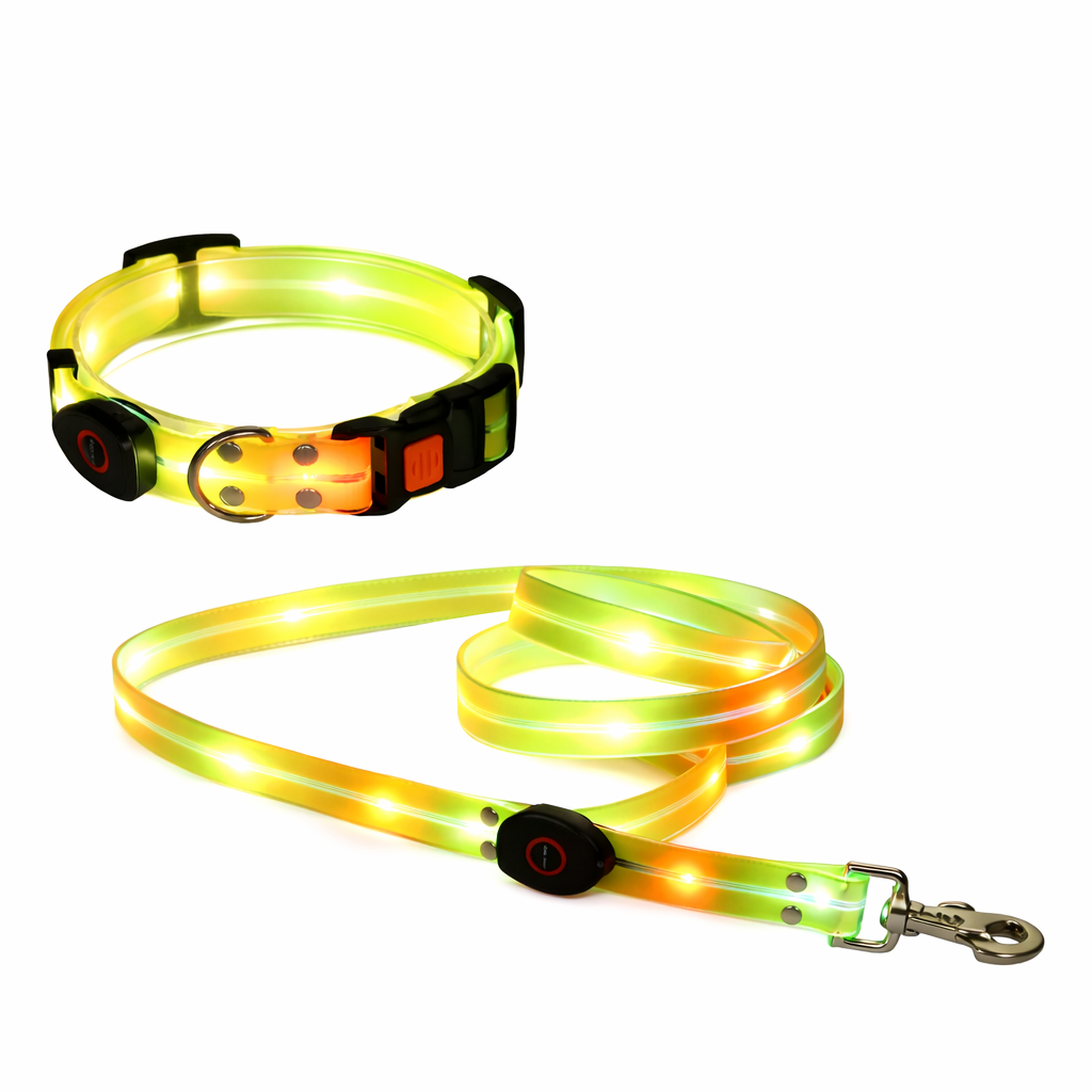 Rechargeable LED Dog Collars & Leashes – Night Safety Collection