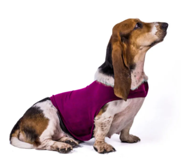Calming Dog Jacket – Anti-Anxiety Comfort Vest for Warmth & Security