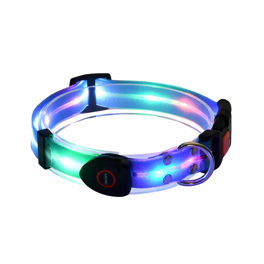 Rechargeable LED Dog Collars & Leashes – Night Safety Collection