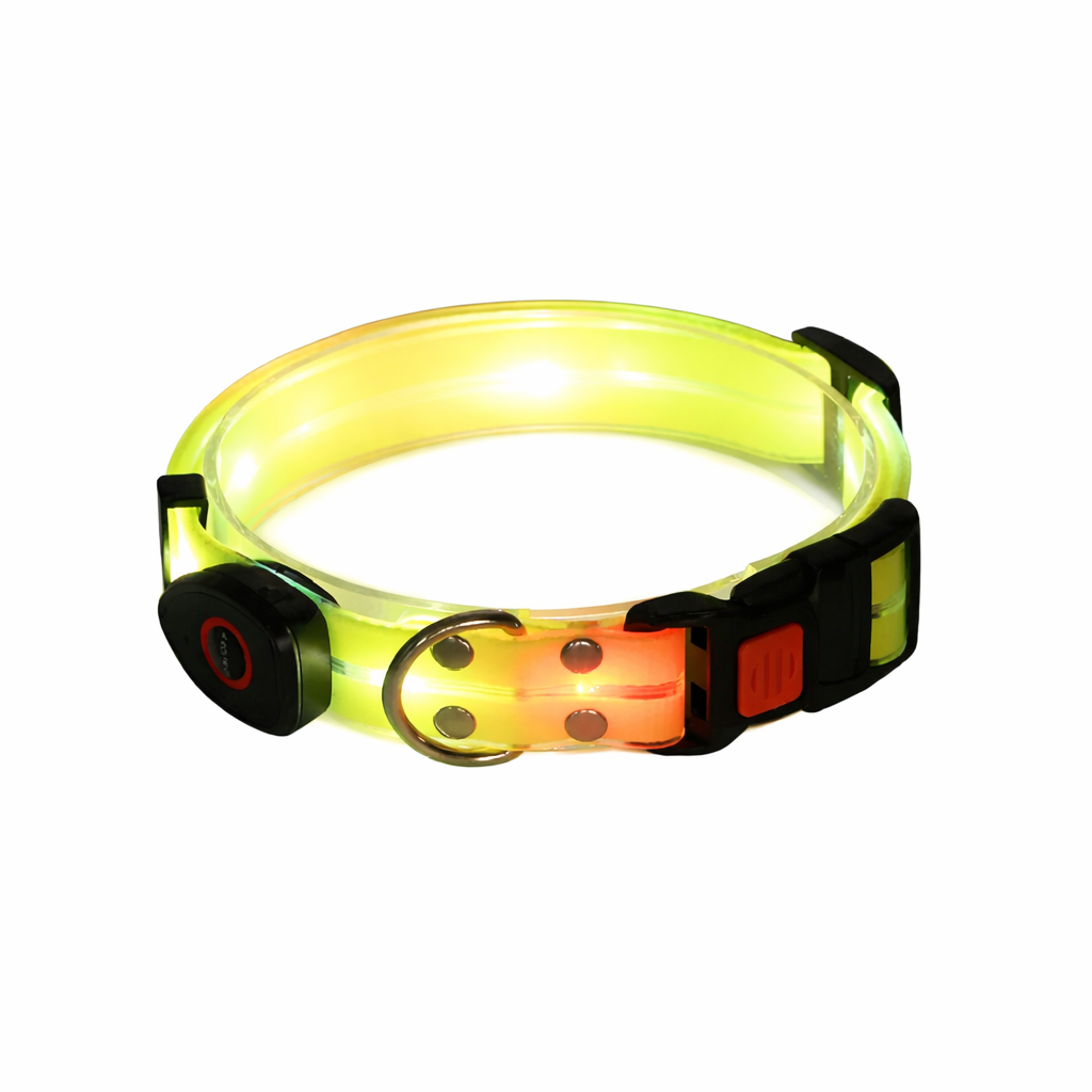 Rechargeable LED Dog Collars & Leashes – Night Safety Collection