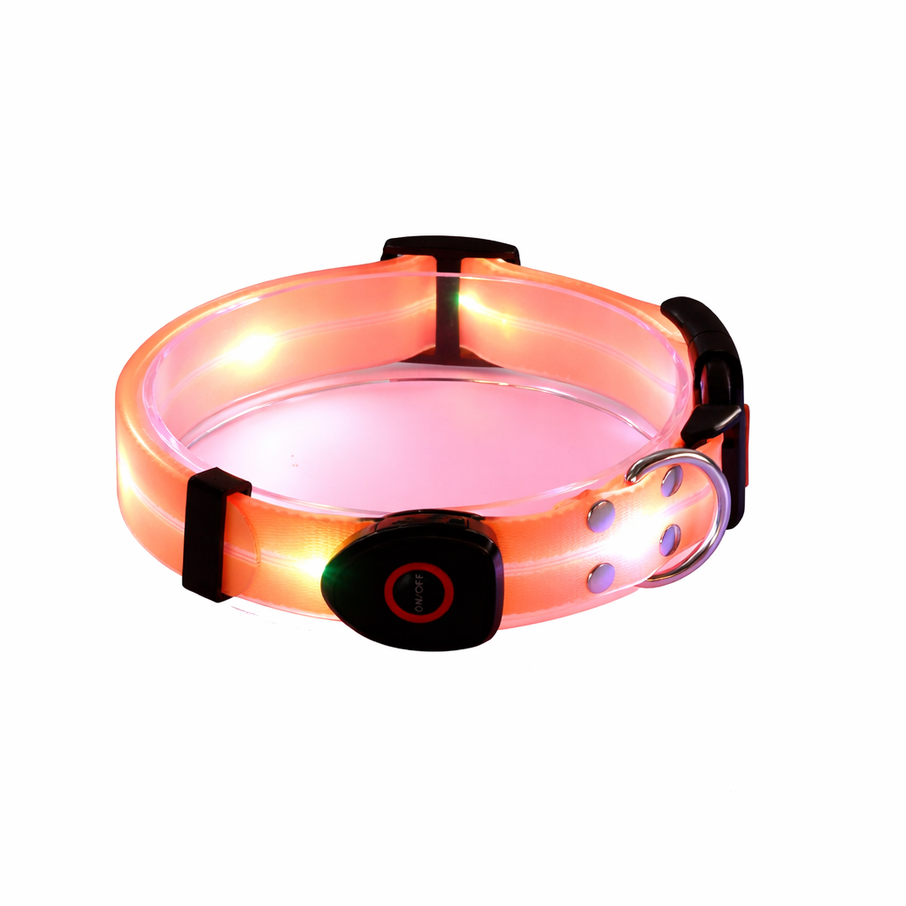 Rechargeable LED Dog Collars & Leashes – Night Safety Collection