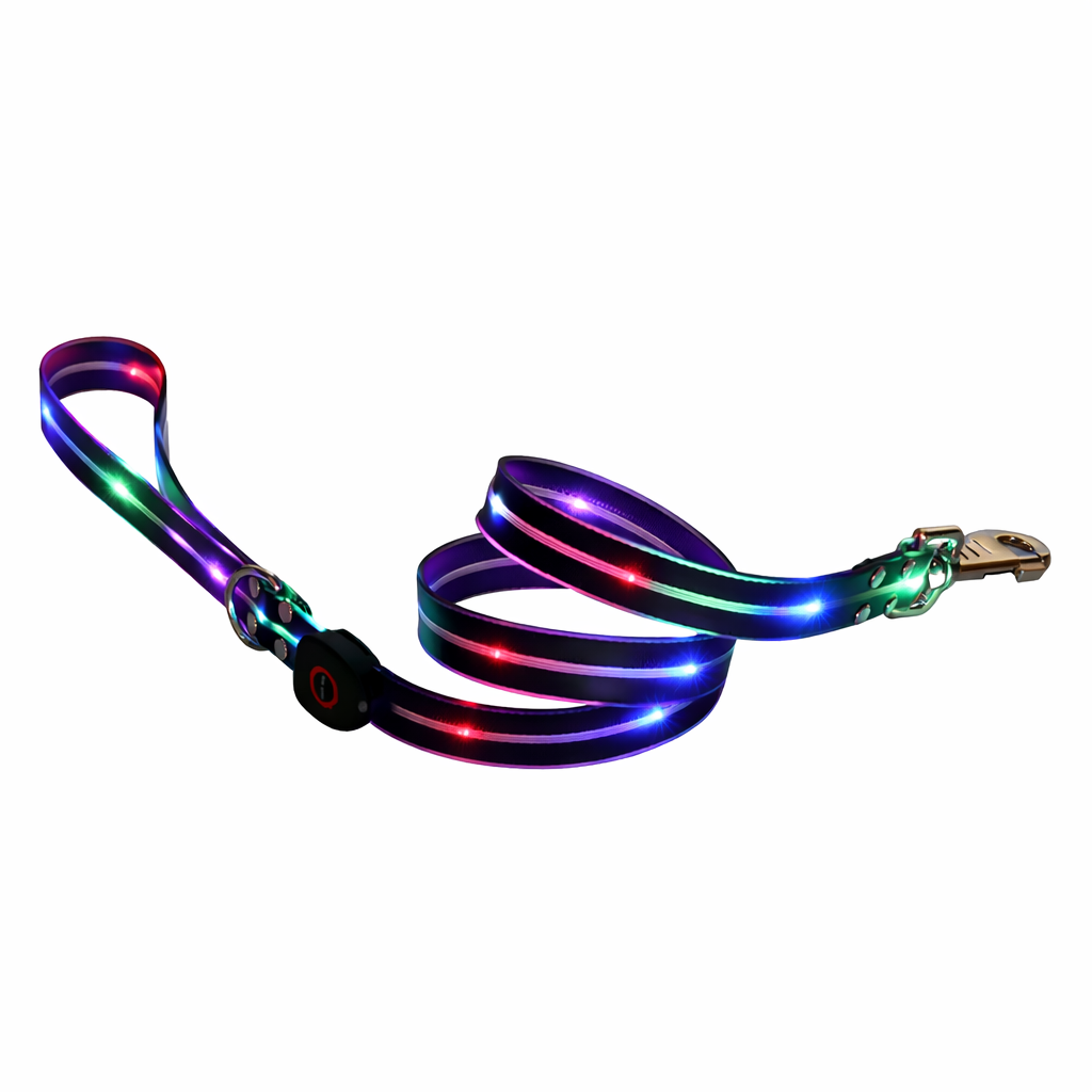 Rechargeable LED Dog Collars & Leashes – Night Safety Collection