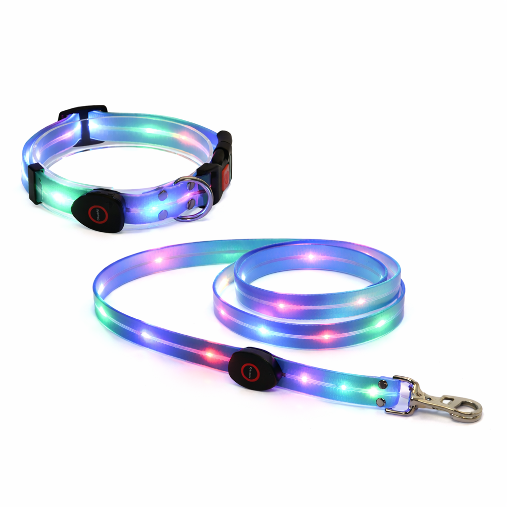 Rechargeable LED Dog Collars & Leashes – Night Safety Collection