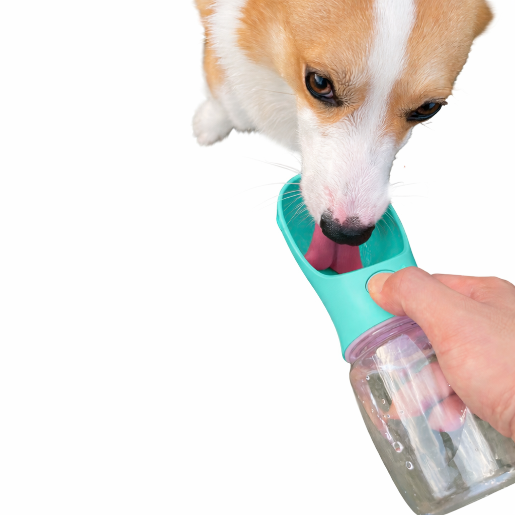 Portable 2-in-1 Pet Water Bottle with Food Container – Travel Hydration & Feeding Solution