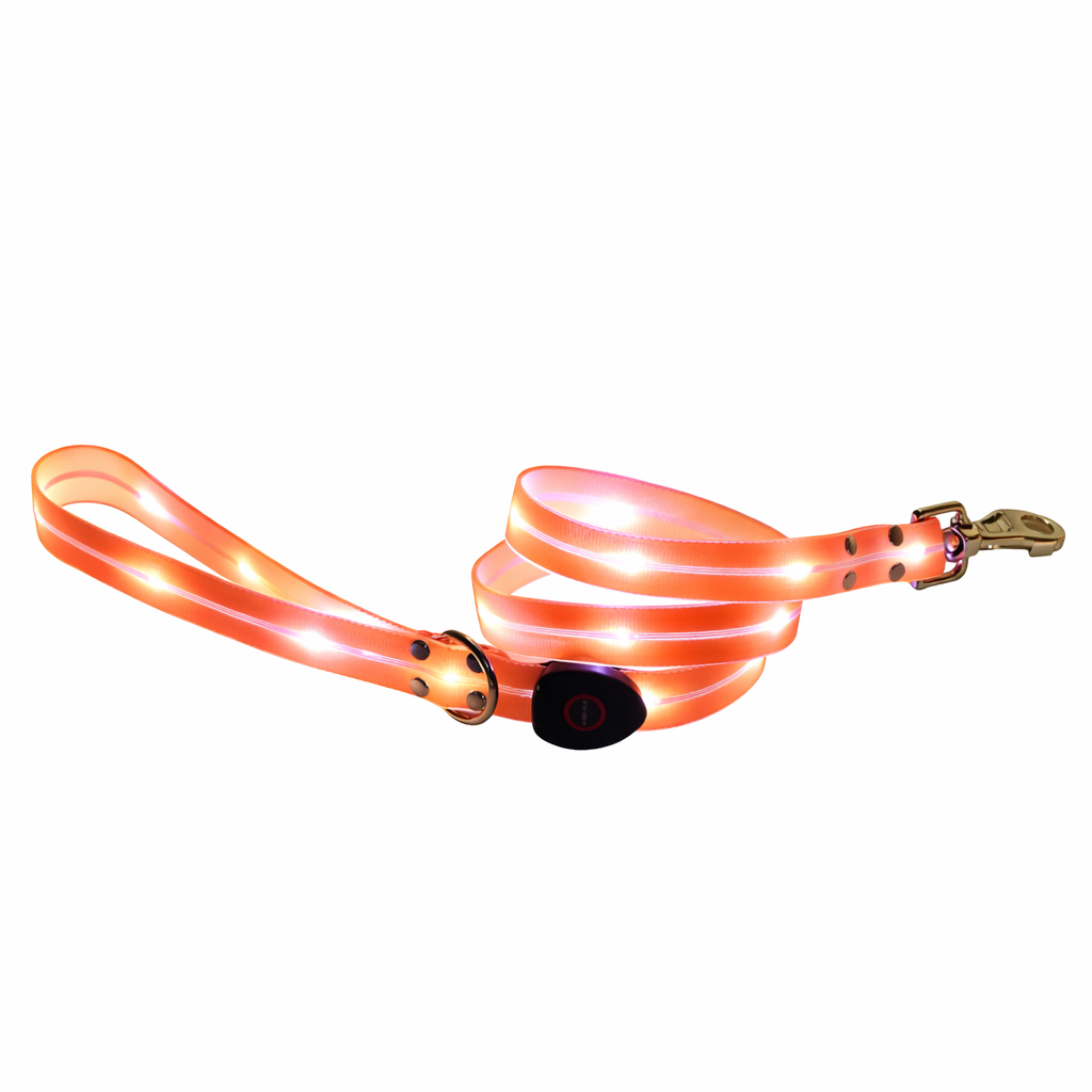 Rechargeable LED Dog Collars & Leashes – Night Safety Collection