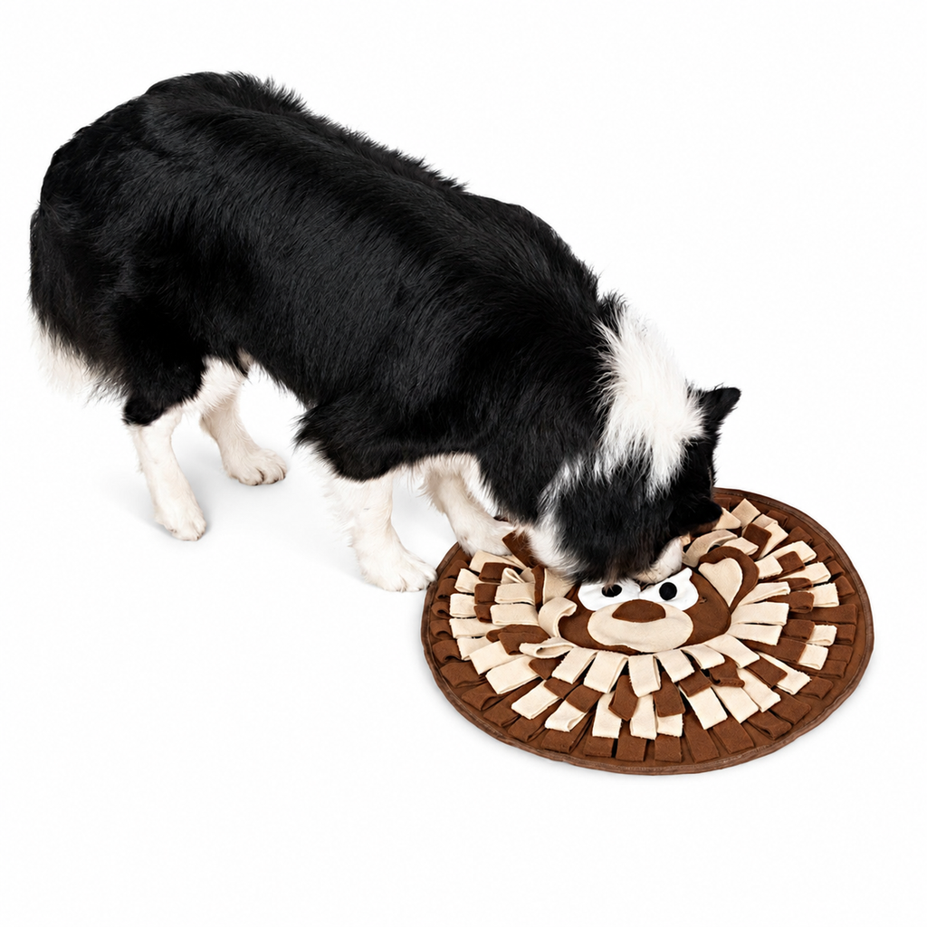 Interactive Snuffle Mat for Dogs and Cats – Foraging & Mental Stimulation Feeding Toy