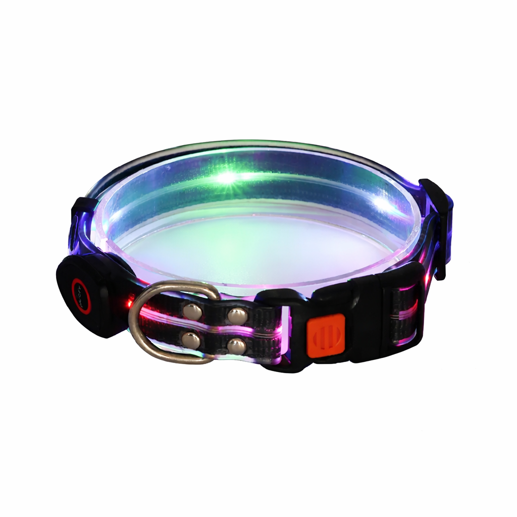 Rechargeable LED Dog Collars & Leashes – Night Safety Collection