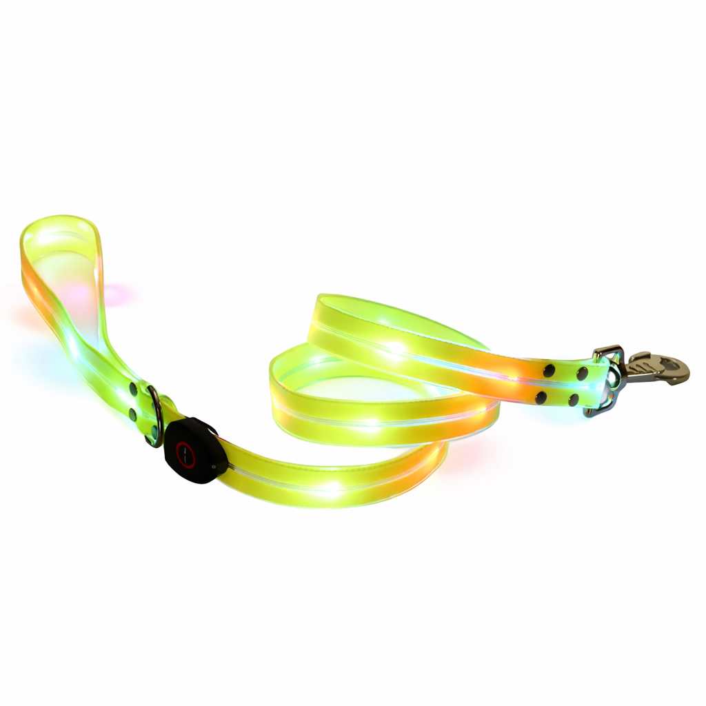 Rechargeable LED Dog Collars & Leashes – Night Safety Collection