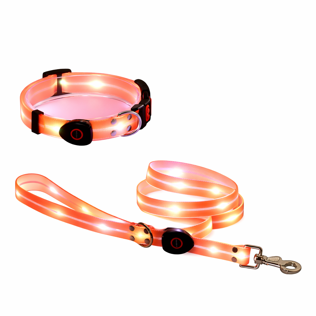 Rechargeable LED Dog Collars & Leashes – Night Safety Collection