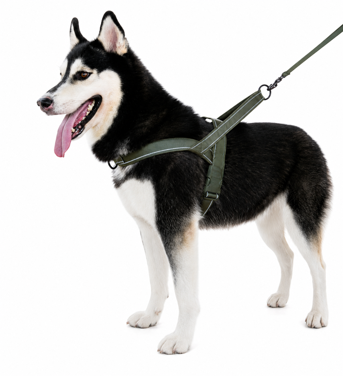 Tactical Dog Harness’s & Leash’s – Adjustable, Durable & Comfortable (Small-Large Dogs)