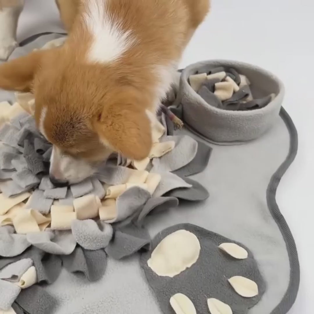 Interactive Snuffle Mat for Dogs and Cats – Foraging & Mental Stimulation Feeding Toy